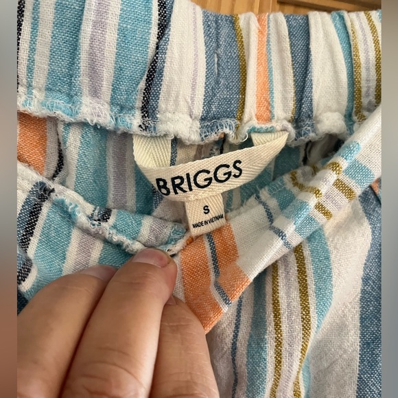 Briggs Stripped Blue and Orange Shorts Size Small - Picture 4 of 7